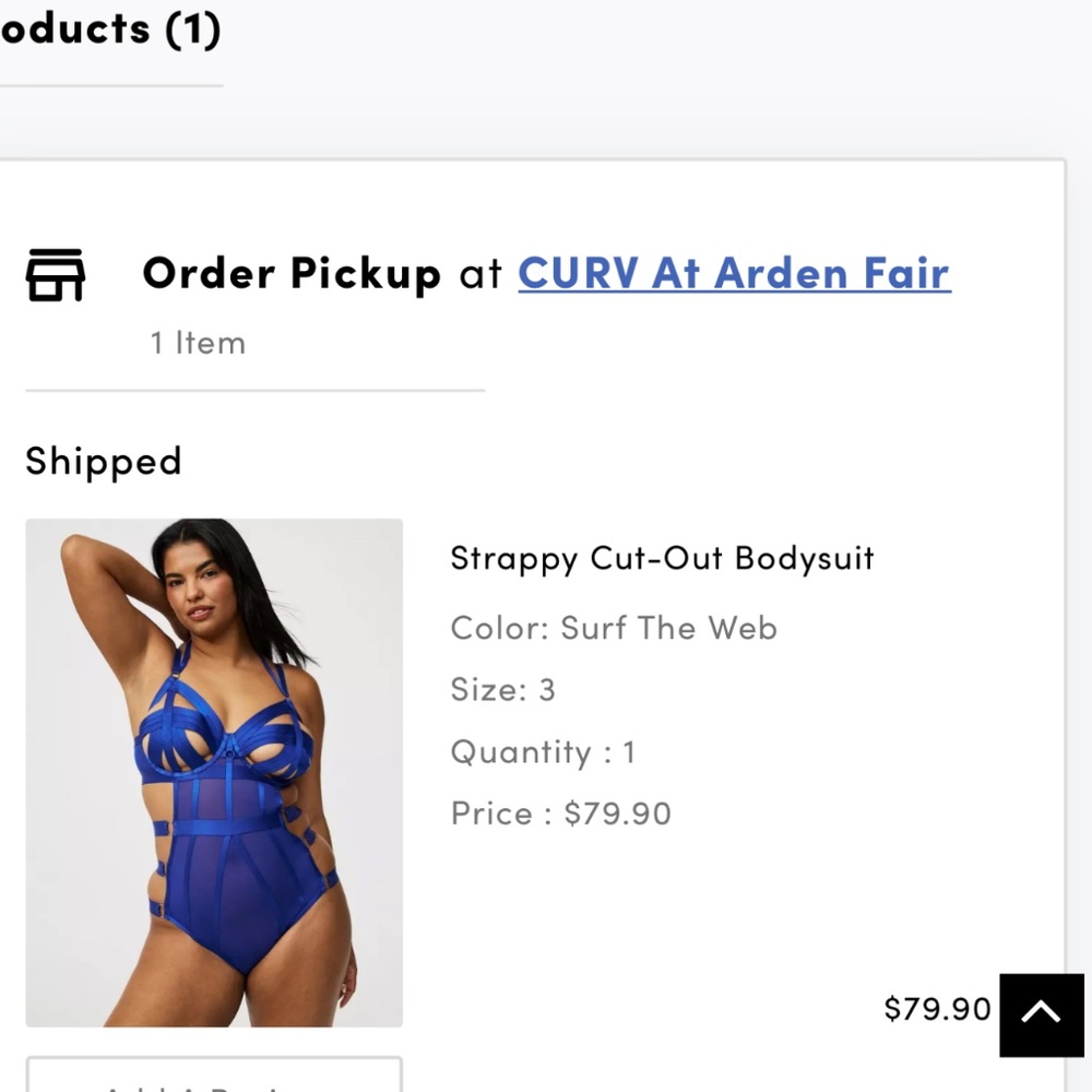 Royal blue lingerie bodysuit